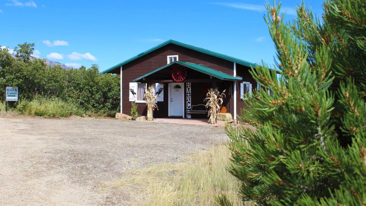 Ranch Mountain Cabin, Stunning! Campfire, Hiking مونتيسلو المظهر الخارجي الصورة