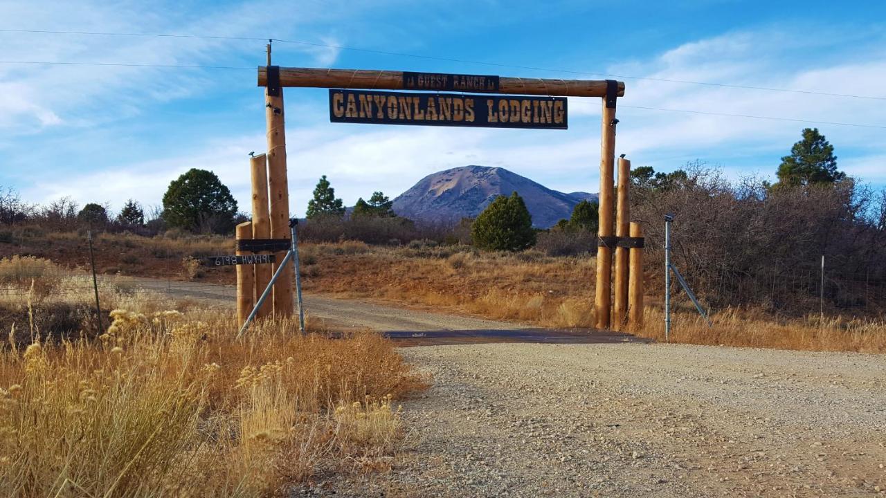 Ranch Mountain Cabin, Stunning! Campfire, Hiking مونتيسلو المظهر الخارجي الصورة