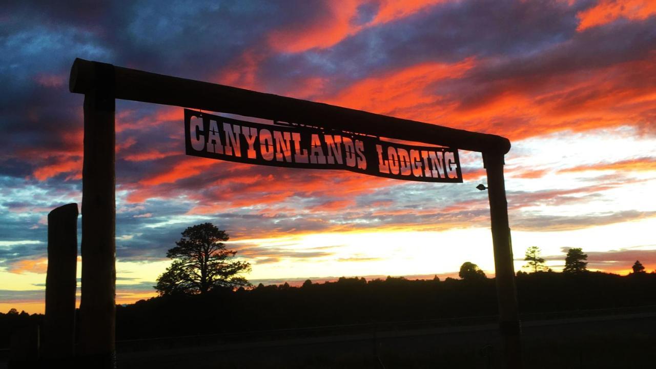 Ranch Mountain Cabin, Stunning! Campfire, Hiking مونتيسلو المظهر الخارجي الصورة